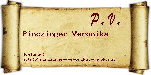 Pinczinger Veronika névjegykártya